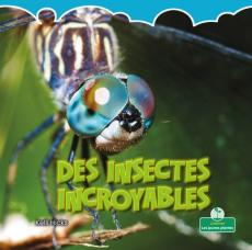Des Insectes Incroyables