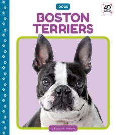 Boston Terriers