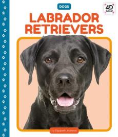 Labrador Retrievers