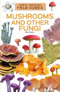 Mushrooms and Other Fungi