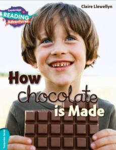 How chocolate is made turquoise band