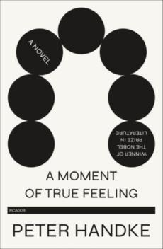 A moment of true feeling : a novel