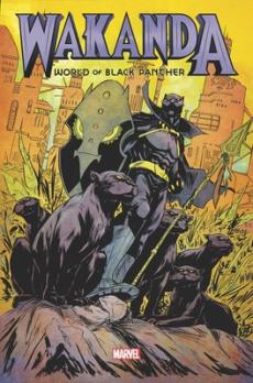Wakanda : world of Black Panter omnibus