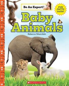 Baby Animals (Be an Expert!)