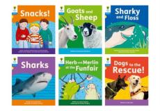 Oxford reading tree: floppy's phonics decoding practice: oxford level 3: mixed pack of 6