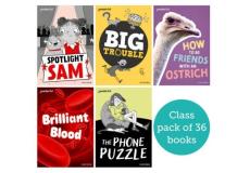 Readerful rise: oxford reading level 7: class pack