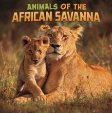 Animals of the african savanna