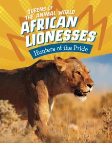 African lionesses