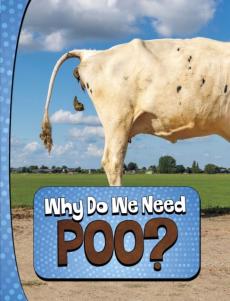 Why do we need poo?