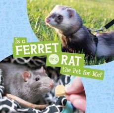 Is a ferret or a rat the pet for me?