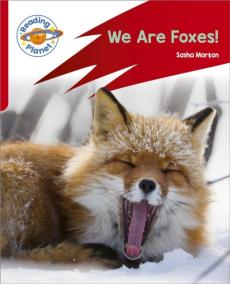 Reading planet: rocket phonics - target practice - we are foxes - red a