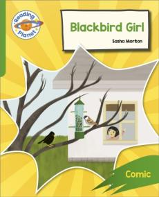 Reading planet: rocket phonics - target practice - blackbird girl - green
