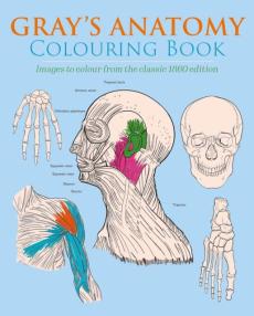 Gray's anatomy colouring book