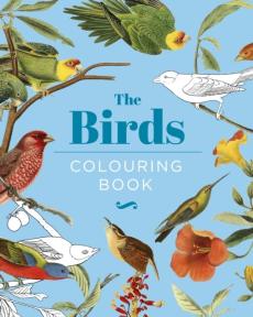 Birds colouring book