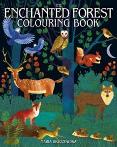 Enchanted forest colouring book