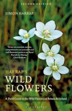 Harrapâ€™s wild flowers