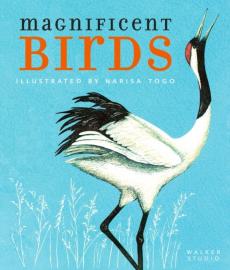 Magnificent birds