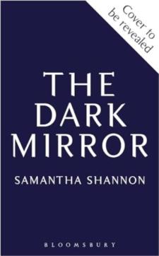 Dark mirror