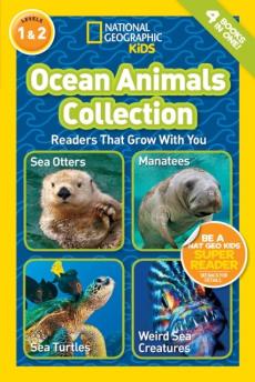 Ocean animals collection