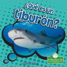 ¿qué Es Un Tiburón?