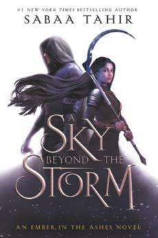 A sky beyond the storm : a novel