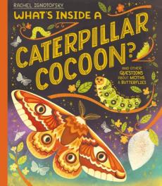 What's inside a caterpillar cocoon?