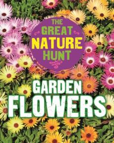 Great nature hunt: garden flowers