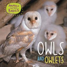 Animals and their babies: owls & owlets