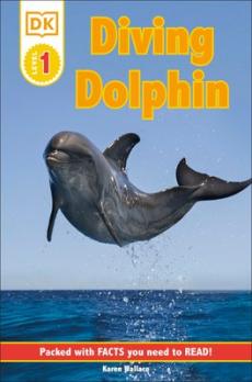 Diving dolphin