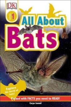 All about bats