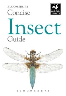 Concise insect guide