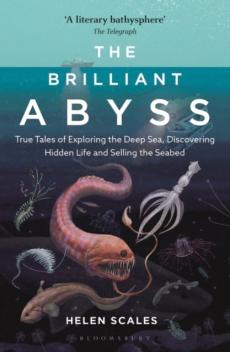 Brilliant abyss
