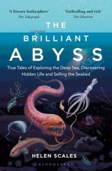 Brilliant abyss