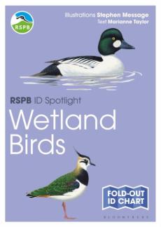 Rspb id spotlight - wetland birds