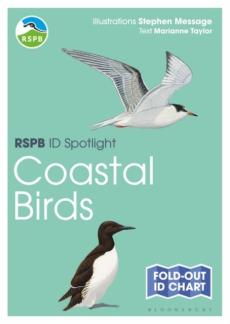 Rspb id spotlight - coastal birds