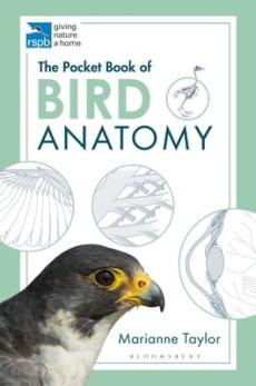 Pocket book of bird anatomy