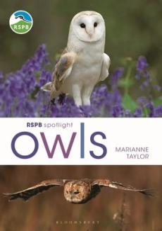 Rspb spotlight owls