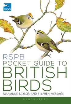 Rspb pocket guide to british birds