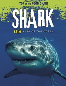 Shark : killer king of the ocean