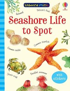 Mini books seashore life to spot