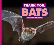 Thank You, Bats