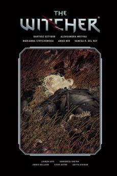 The witcher (Volume two)