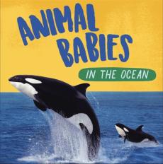 Animal babies: in the ocean