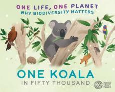 One life, one planet: one koala in fifty thousand
