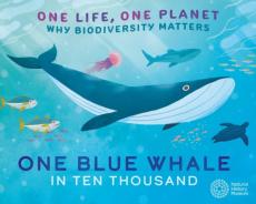 One life, one planet: one blue whale in ten thousand