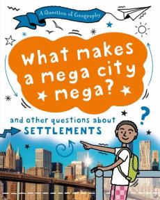 Question of geography: what makes a mega city mega?