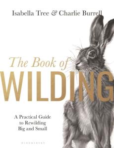 The book of wilding : a practical guide to rewilding big and small