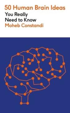 50 human brain ideas you really need to know