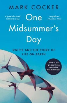One midsummer's day