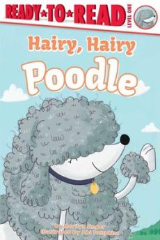 Hairy, hairy Poodle
